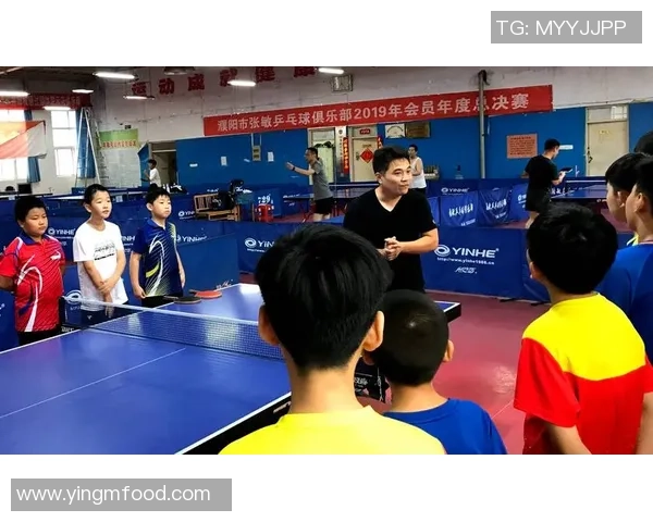 张敏乒乓球生涯的深度对话与人生启示探索 张敏乒乓球生涯的深度对话与人生启示探索