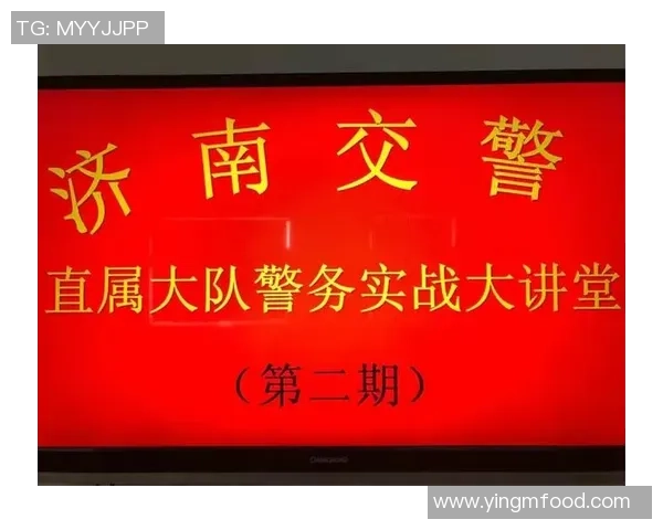 成都乒乓球队战术分析与未来发展方向的深入探讨