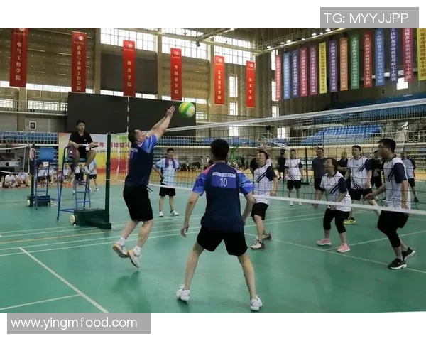 杭州排球队逆袭之路揭秘城市联赛背后的奋斗与荣耀 杭州排球队逆袭之路揭秘城市联赛背后的奋斗与荣耀