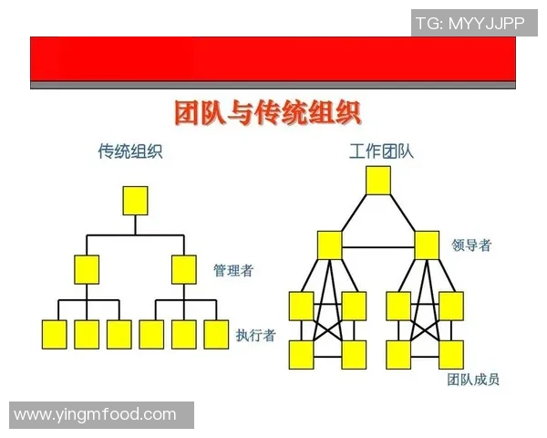 上海足球队在世锦赛中的团队协作展现与战术执行分析 上海足球队在世锦赛中的团队协作展现与战术执行分析