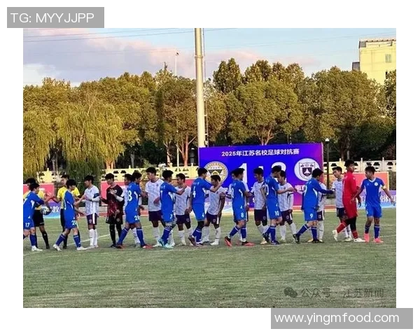 泰州足球明星学校的现状与发展前景探讨 泰州足球明星学校的现状与发展前景探讨