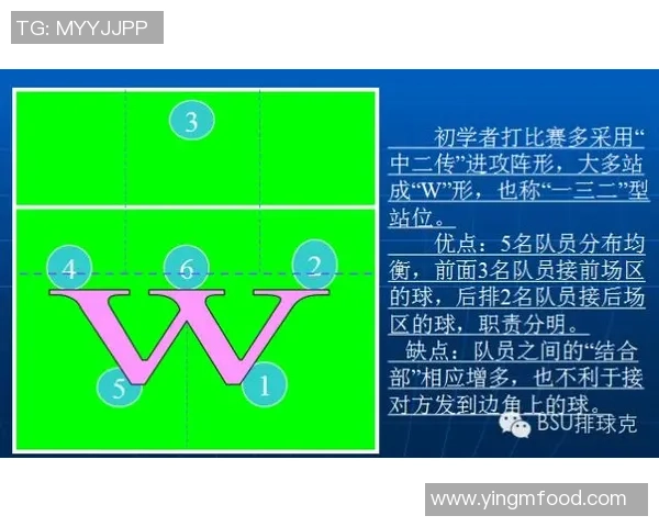 重庆排球队整体压制战术解析及其在排球热点中的影响 重庆排球队整体压制战术解析及其在排球热点中的影响
