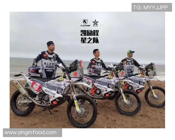 南京排球队的成长之路：挑战赛中的拼搏与荣耀