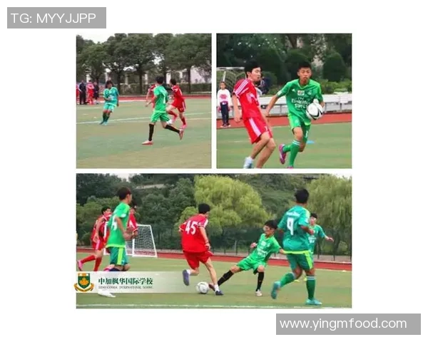 成都足球队的技术揭秘与战术分析带你领略足球的魅力与激情