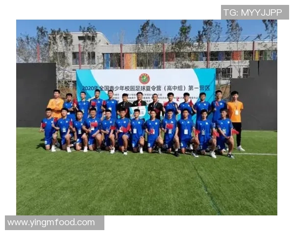 武汉足球队的拼搏之路：挑战赛背后的故事与荣耀