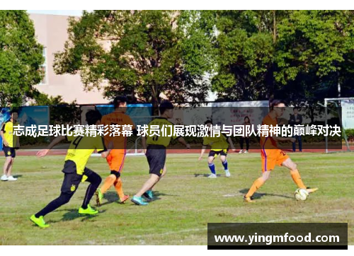 志成足球比赛精彩落幕 球员们展现激情与团队精神的巅峰对决