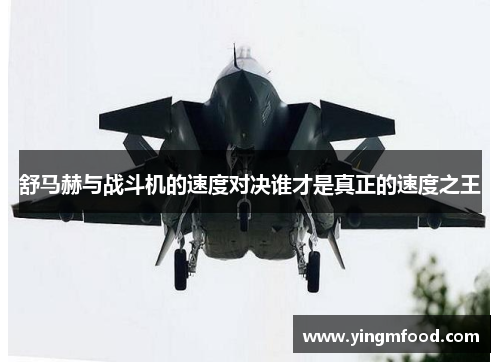 舒马赫与战斗机的速度对决谁才是真正的速度之王