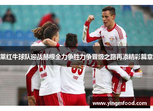 莱红牛球队迎战赫根全力争胜力争晋级之路再添精彩篇章